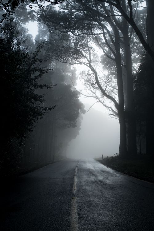 عکس جاده تاریک ترسناک ارواح 1