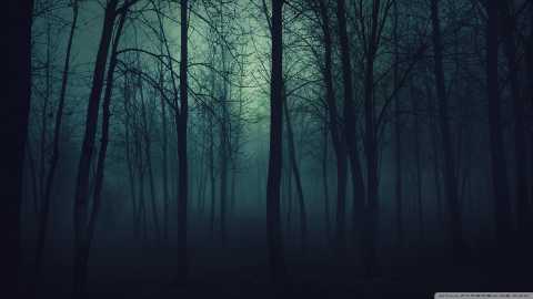 جنگل تاریک 1