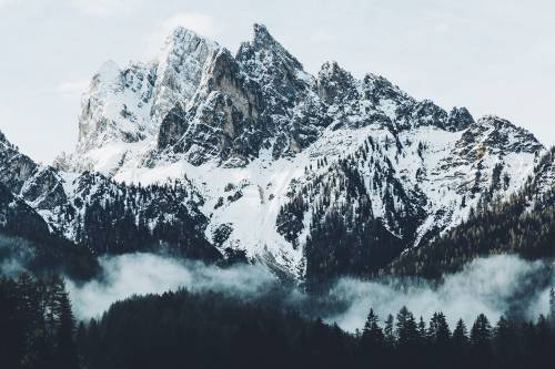 کوه های برفی با تصویر زمینه جنگل 1