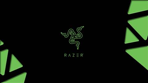 Razer Gamer Logo 1