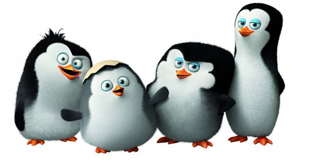عکس پنگوئن های ماداگاسکار 2014 چهار 4 کارتون عکس حیوانات  حیوانات ، تصویر زمینه پنگوئن دانلود تصویر روی رایانه رومیزی ، قرص 1