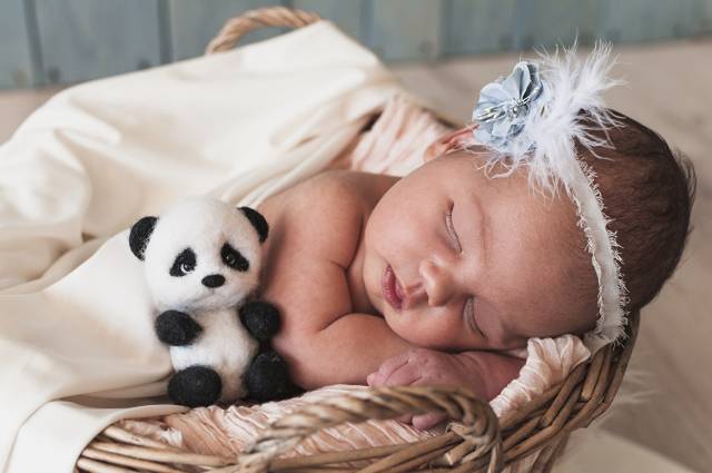 عکس کودکان شیرخواران خواب خرس  کودک ، نوزاد ، تازه متولد شده ، بارگیری تصویر تصویر زمینه بر روی رایانه رومیزی ، قرص 1