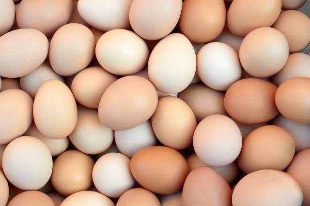 عکس غذای بسیاری از بافت تخم مرغ ها  تخم مرغ تصویر زمینه بارگیری تصویر در رایانه رومیزی ، قرص 1