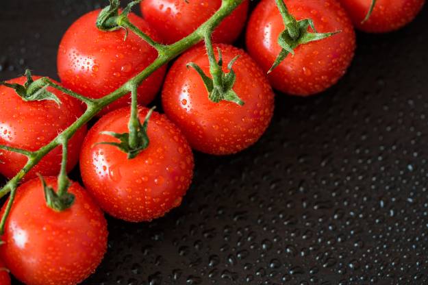 عکس closeup گوجه فرنگی قطره های قرمز  تصویر زمینه 1