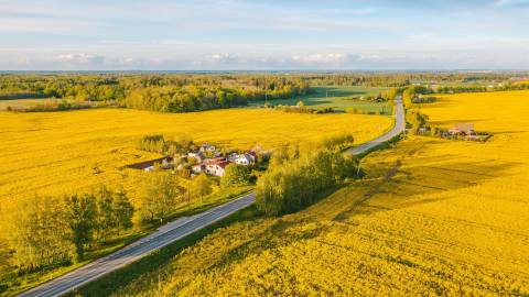 لیتوانی جاده ها را از بالای عکس طبیعت درست می کند  تصویر زمینه 1