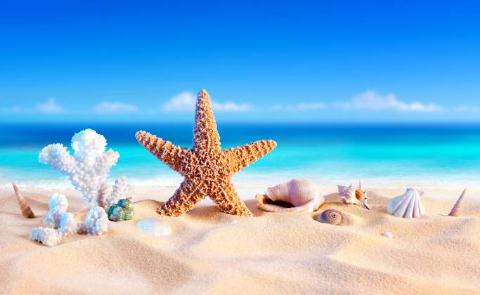 عکس ستاره دریایی شن های دریایی شن و ماسه  تصویر زمینه ستاره های دریا 1
