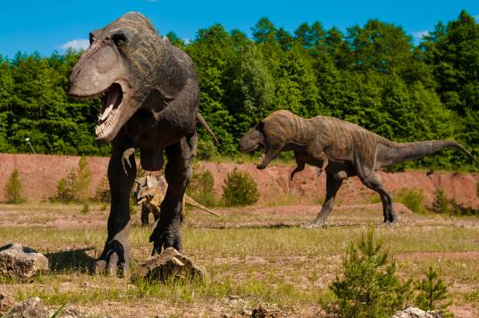مجسمه ها عکس حیوانات چمن Tyrannosaurus rex Dinosaurs  تصویر زمینه حیوانات 1
