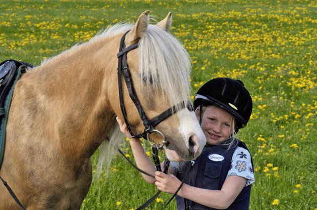 اسبها دختران کوچک کلاه لبخند کودکان عکس حیوانات  تصویر زمینه کودک ، حیوان ، اسب 1