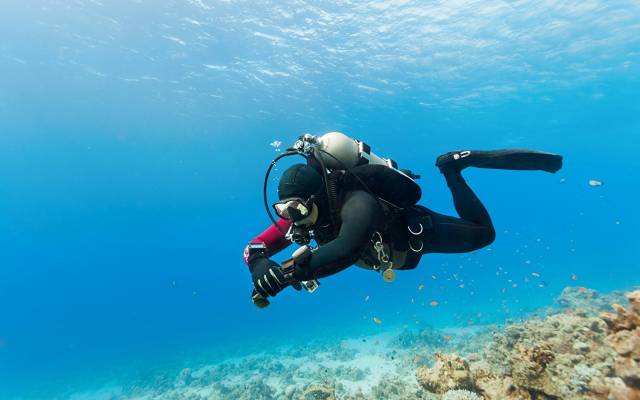 غواصی زیر آب تجهیزات زیر آب غواصی زیر آب فعالیت تفریحی عکس ورزشی  ورزشی ، تصویر زمینه تصویر 1