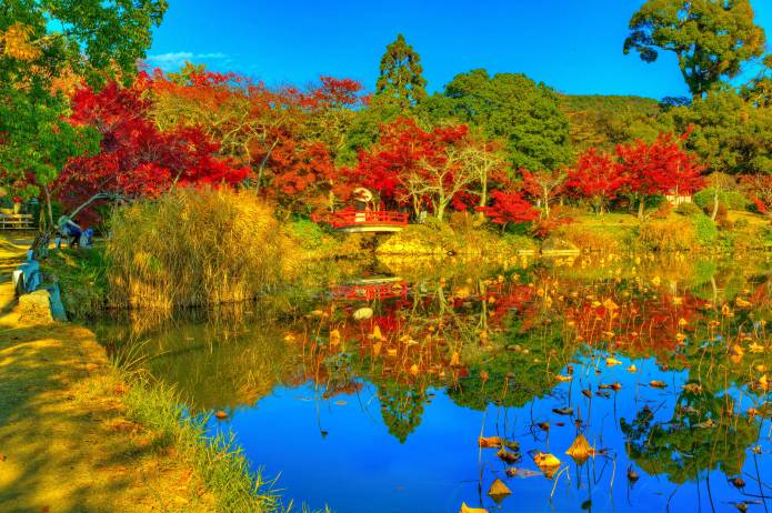 پارک کیوتو ژاپن حوض پاییزی Daikaku-ji HDR Trees عکس طبیعت  پارک ، تصویر زمینه HDRI 1
