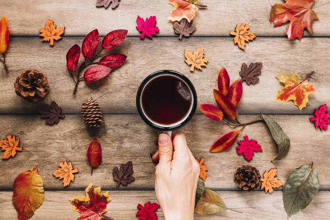 چای پاییزی تخته های چوبی دست لیوان شاخ و برگ مخروط کاج عکس غذا  برگ ، مخروط سوزنی برگ ، تصویر زمینه تابلوها 1