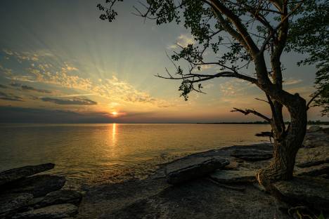طلوع و غروب خورشید در کانادا Coast Stones Ontario Bay Trees عکس طبیعت  طلوع و غروب خورشید ، تصویر زمینه سنگی 1