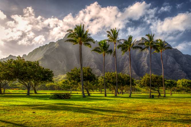 Mountains Tropics Hawaii Palms Lawn Trees عکس طبیعت  تصویر زمینه کوه ، درخت خرما 1