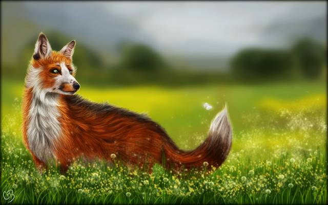 عکس حیوانات چمن هنر نقاشی روباه ها  تصویر زمینه حیوانات 1