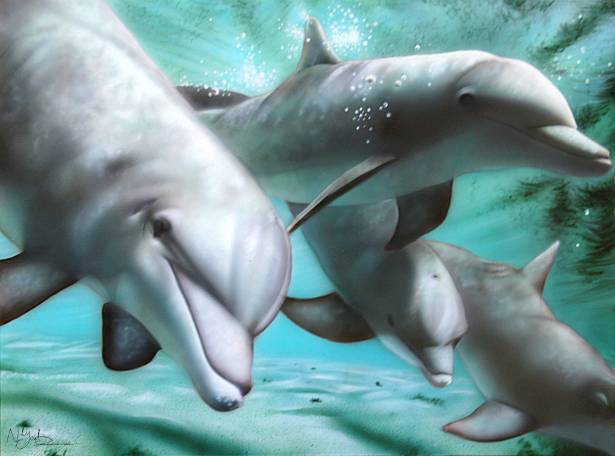 دنیای زیر آب دلفین ها نقاشی حیوانات هنری عکس  تصویر زمینه حیوانات 1