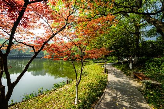 عکس کیوتو کیوتو دریاچه دریاچه عکس طبیعت  تصویر زمینه پارک 1