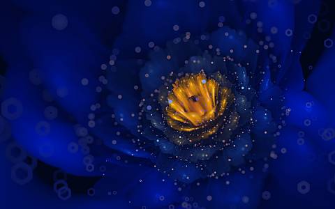 گل آبی دیجیتال از نزدیک 4k Ultra HD Wallpaper 1