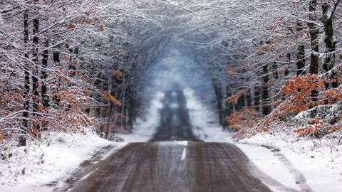 تصویر زمینه جاده جنگل در زمستان 1