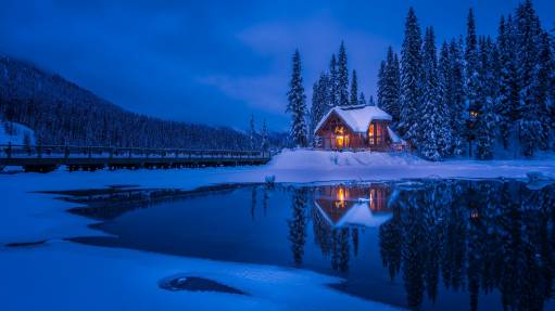 خانه جنگلی پوشیده از تصویر زمینه 4K برف 1