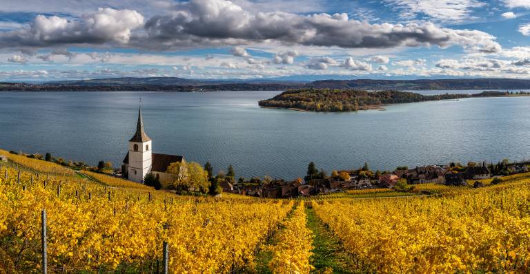 Switzerland Lake Church Vineyard Autumn Ligerz، پانوراما ابرهای طبیعت عکس  تصویر زمینه 1