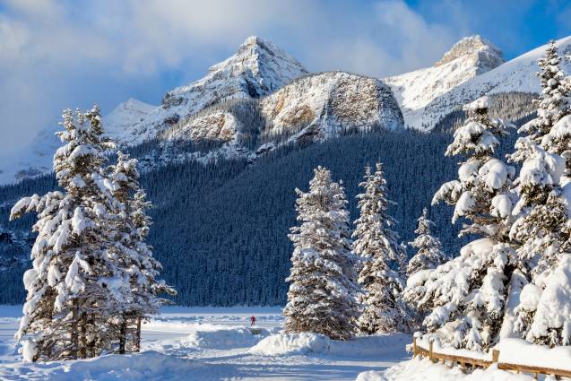 پارک های زمستانی کانادا کوهستان Banff صنوبر برف عکس طبیعت  کوه ، تصویر زمینه پارک 1