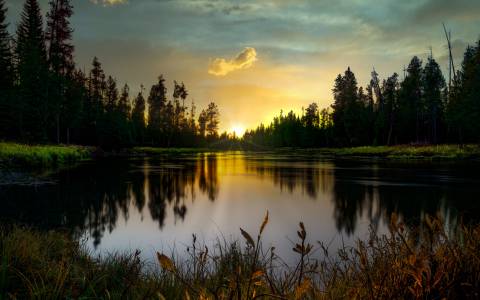 عکس دریاچه جنگل در طلوع آفتاب  1
