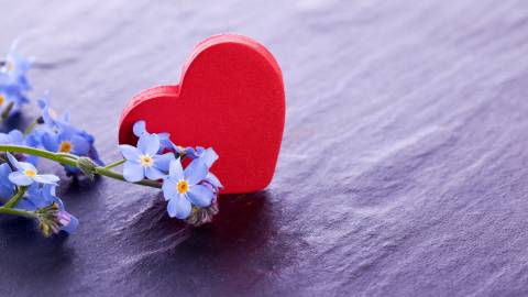 عکس کارت تبریک عاشقانه قلب و شاخه گل آبی 1