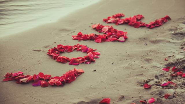 عکس love با برگ های گل رز قرمز کنار ساحل 1