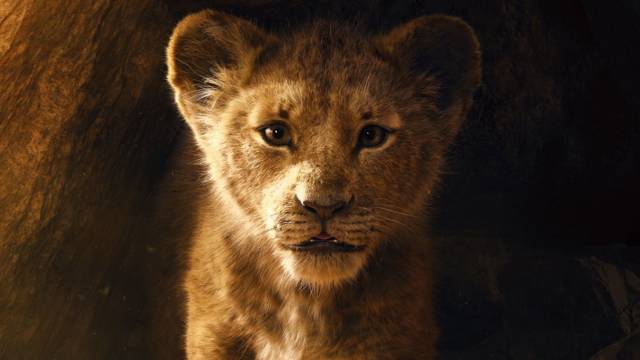 عکس بچگی شیر شاه 1