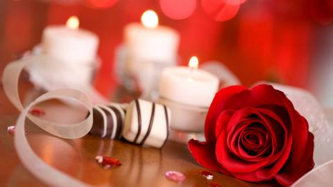 عکس شاخه گل رز و شمع های سفید عاشقانه 1