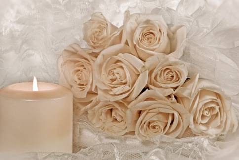 عکس شمع سفید و گل های رز 1