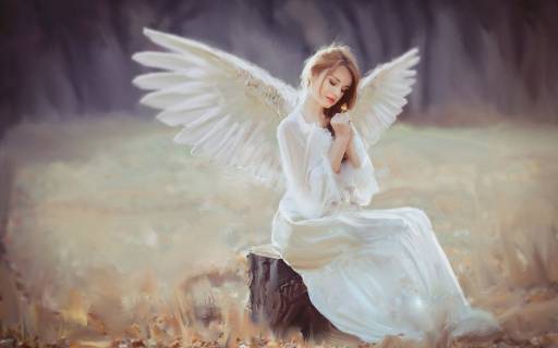 عکس فرشته سفید زن 1